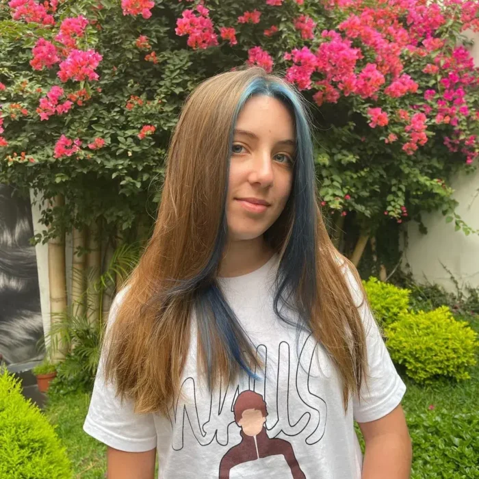 Mechas
